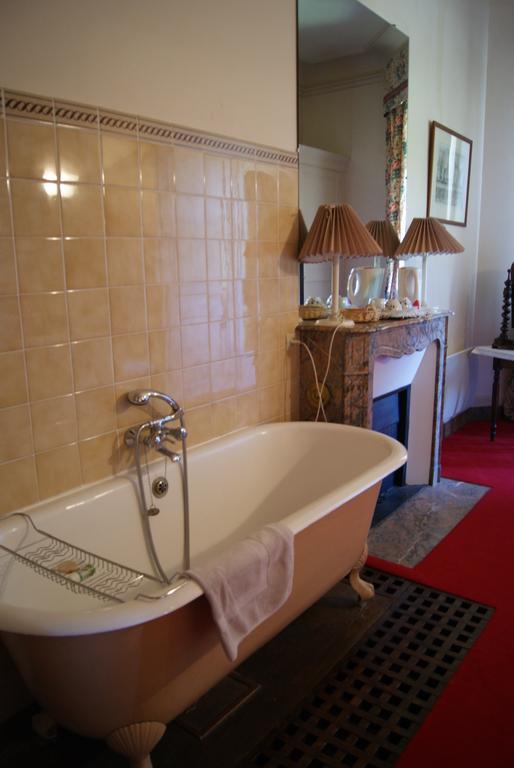 Chateau De La Verrerie Hotel Aubigny-sur-Nère Kamer foto